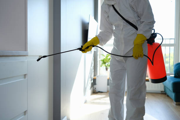 Best HVAC Mold Remediation in Steiner Ranch, TX